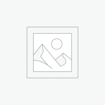 Anime SVG
